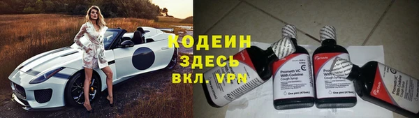 дурь Арсеньев