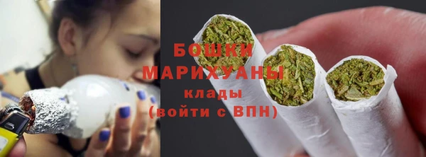 дурь Арсеньев