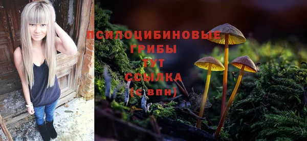 дурь Арсеньев