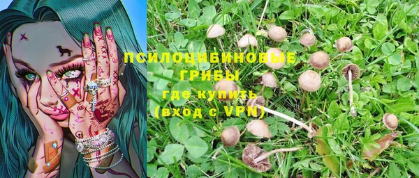 MDMA Premium VHQ Аркадак