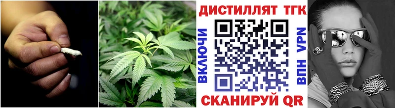 цена   Сегежа  ТГК гашишное масло 