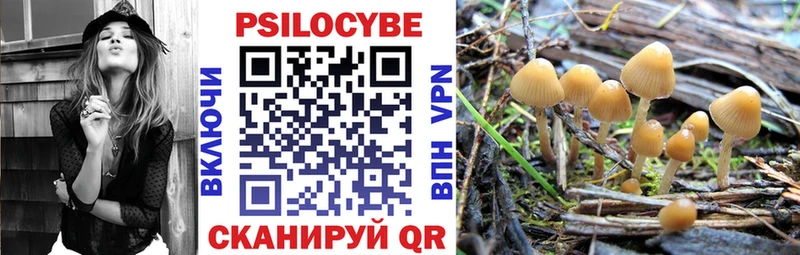 Галлюциногенные грибы Psilocybe  Сегежа 